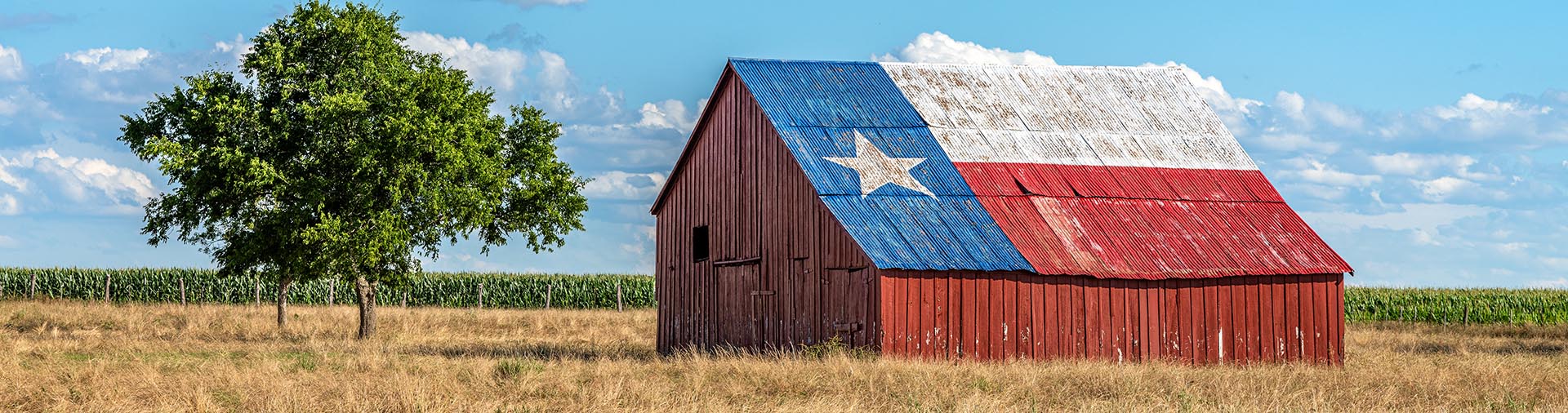 Scenery around the area of HOUSTON, TX